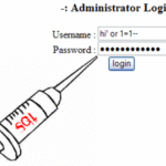 The Best Way to Prevent SQL Injection